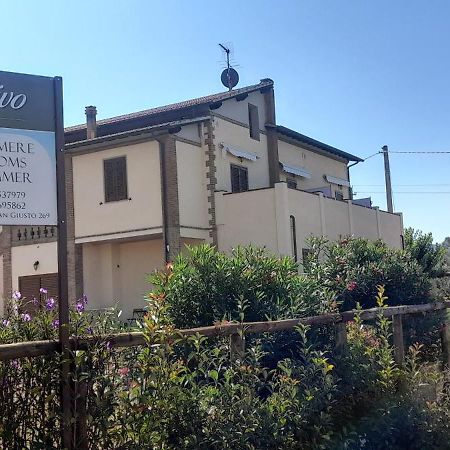 Agriturismo Il Vecchio Olivo 卡斯塔涅托卡尔杜奇 外观 照片