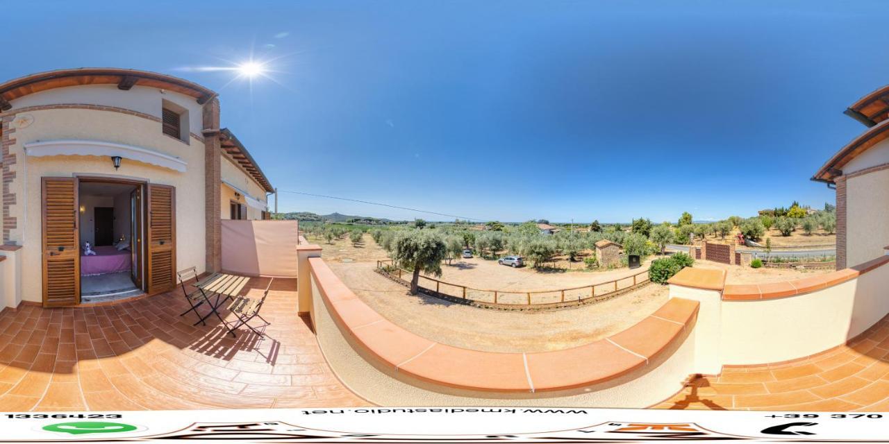Agriturismo Il Vecchio Olivo 卡斯塔涅托卡尔杜奇 外观 照片