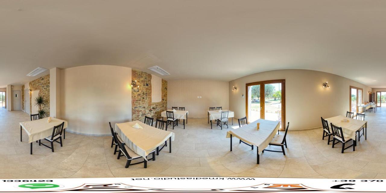 Agriturismo Il Vecchio Olivo 卡斯塔涅托卡尔杜奇 外观 照片