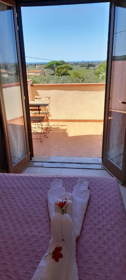 Agriturismo Il Vecchio Olivo 卡斯塔涅托卡尔杜奇 外观 照片