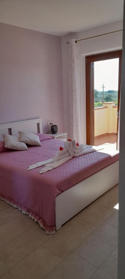Agriturismo Il Vecchio Olivo 卡斯塔涅托卡尔杜奇 外观 照片