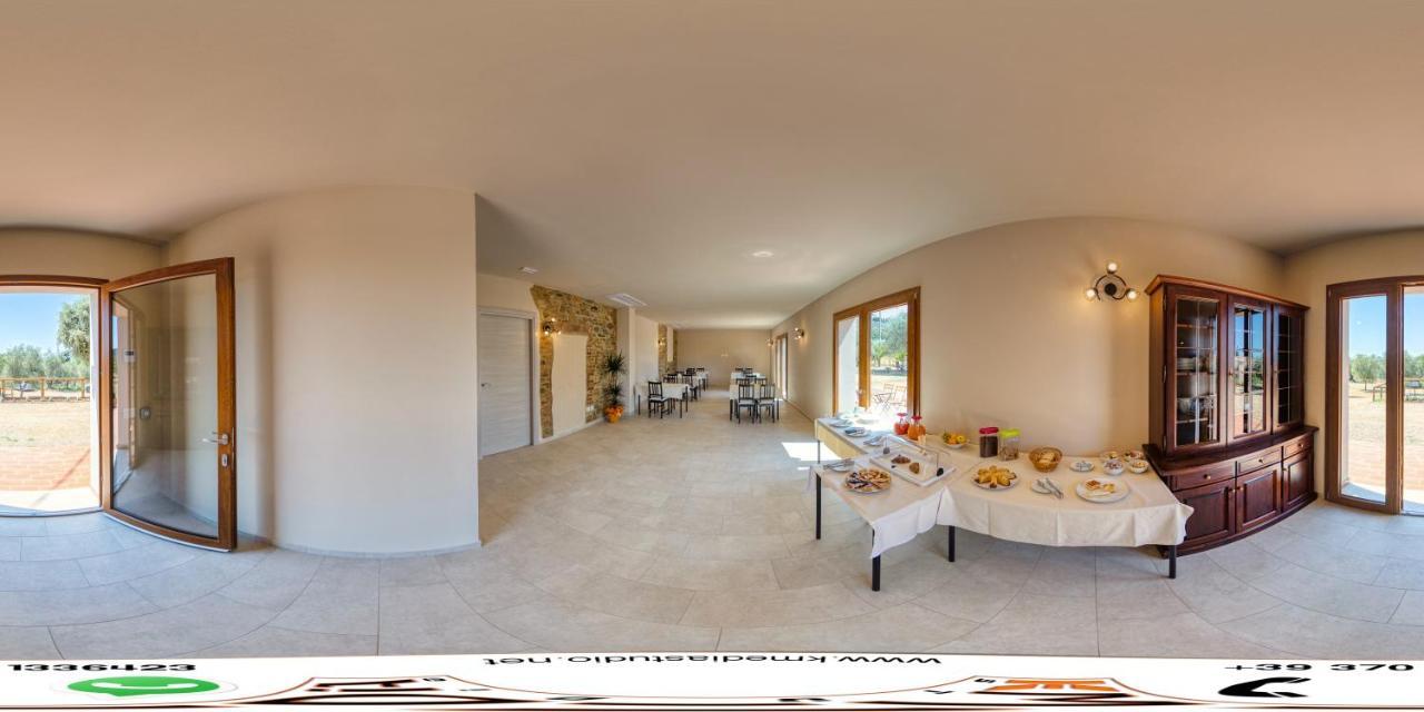 Agriturismo Il Vecchio Olivo 卡斯塔涅托卡尔杜奇 外观 照片