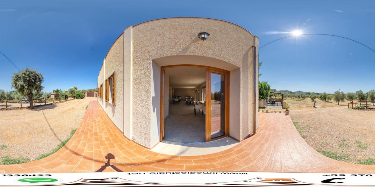 Agriturismo Il Vecchio Olivo 卡斯塔涅托卡尔杜奇 外观 照片