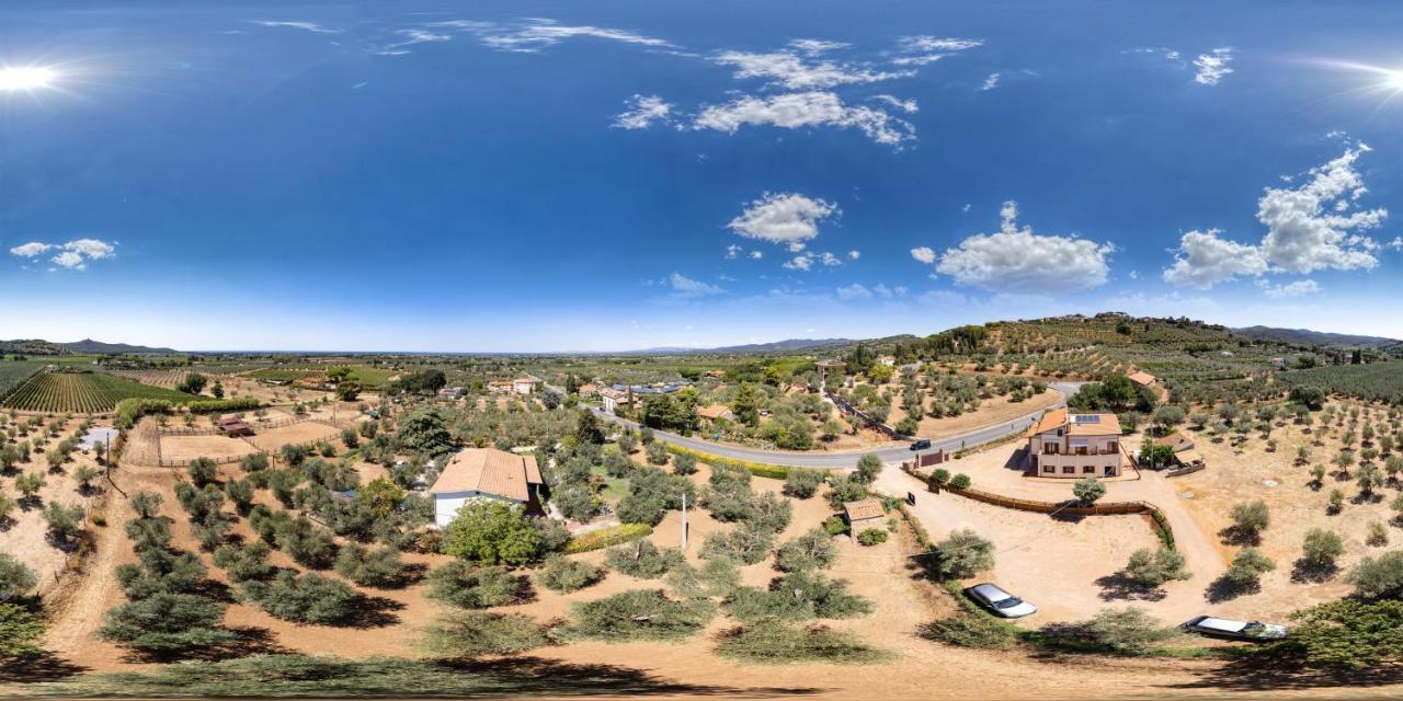 Agriturismo Il Vecchio Olivo 卡斯塔涅托卡尔杜奇 外观 照片