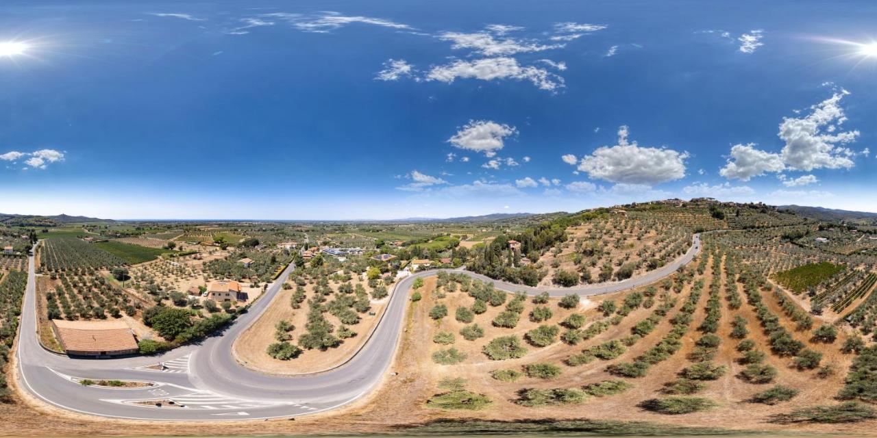Agriturismo Il Vecchio Olivo 卡斯塔涅托卡尔杜奇 外观 照片