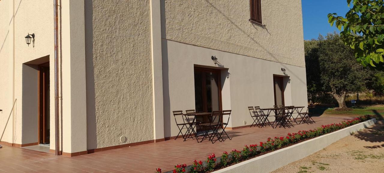 Agriturismo Il Vecchio Olivo 卡斯塔涅托卡尔杜奇 外观 照片