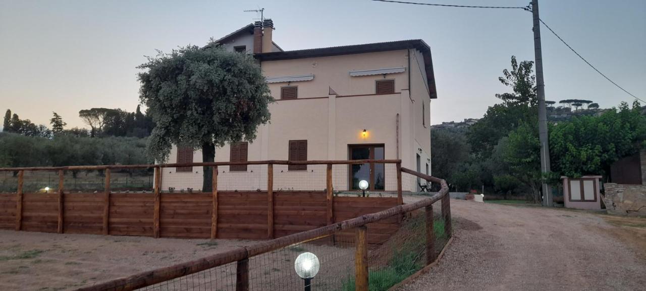Agriturismo Il Vecchio Olivo 卡斯塔涅托卡尔杜奇 外观 照片
