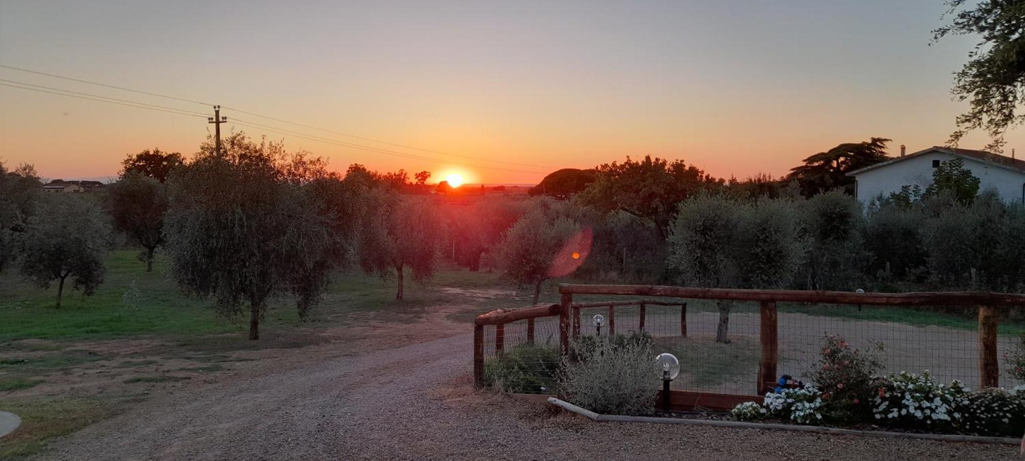 Agriturismo Il Vecchio Olivo 卡斯塔涅托卡尔杜奇 外观 照片