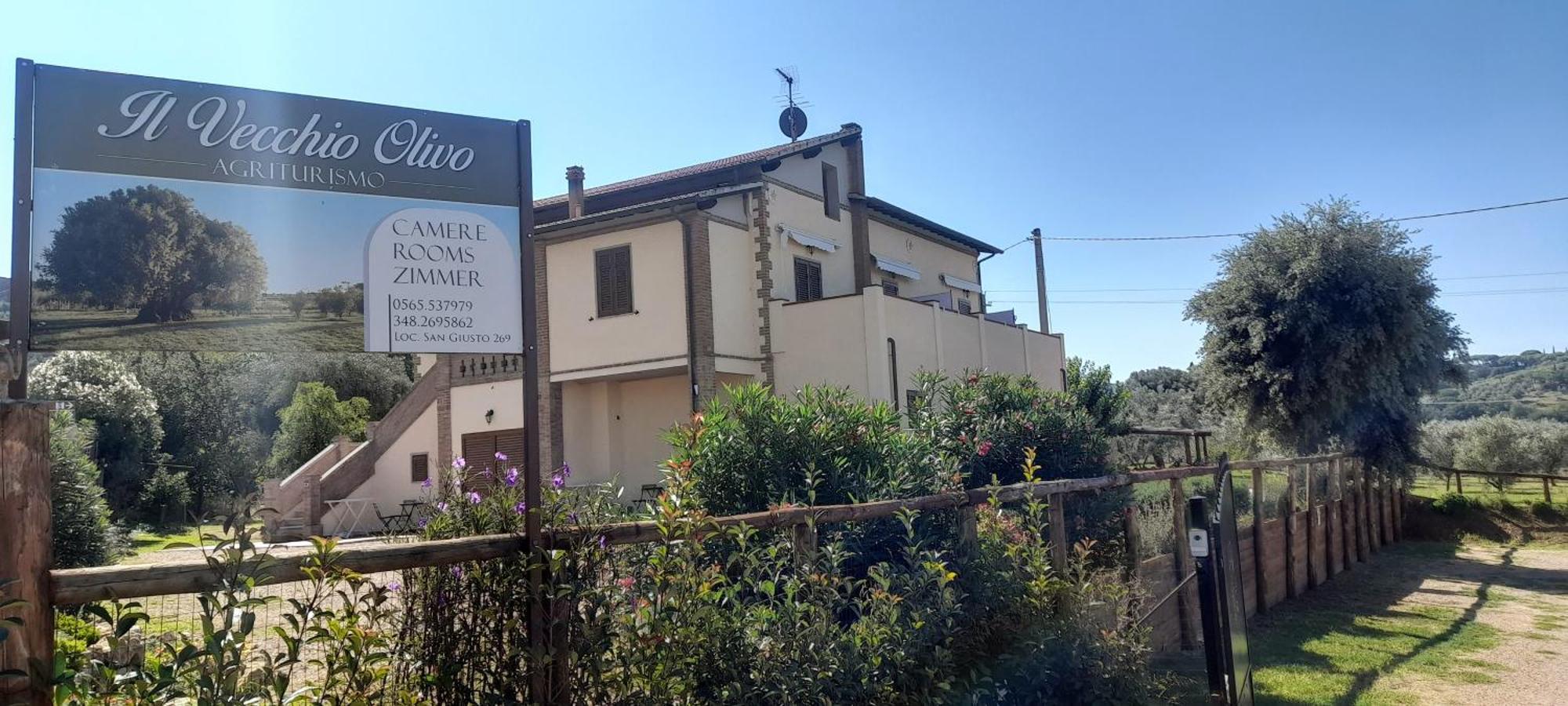 Agriturismo Il Vecchio Olivo 卡斯塔涅托卡尔杜奇 外观 照片
