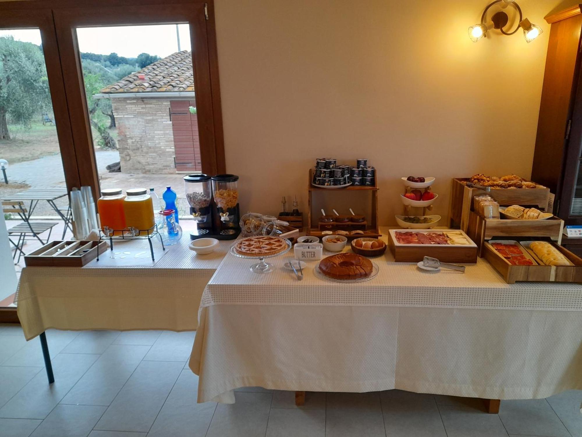Agriturismo Il Vecchio Olivo 卡斯塔涅托卡尔杜奇 外观 照片